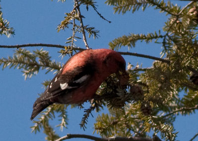 IMG_0182-281-Edit.jpg