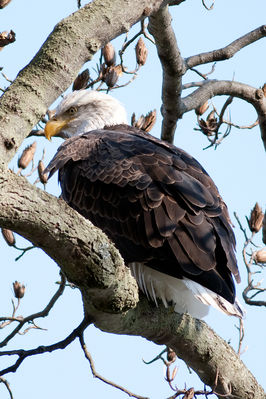 _MG_0067-Edit.jpg