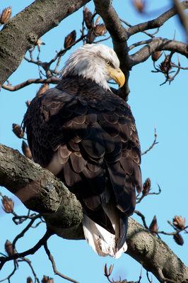 _MG_0120-Edit.jpg