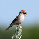IMG_0089-Edit.jpg