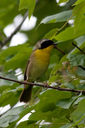 IMG_0107-Edit-crop.jpg