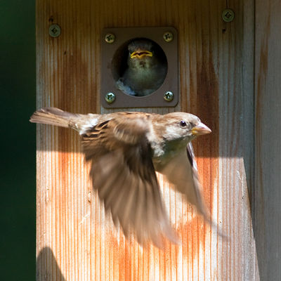 IMG_0386-Edit_Crop.jpg