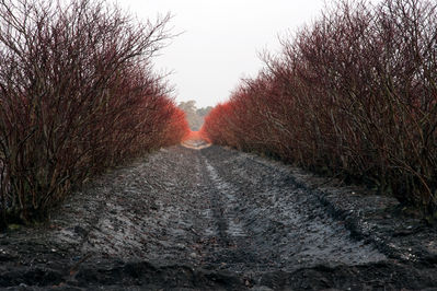 IMG_0013_Edit_Full.jpg
