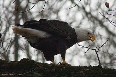 _MG_0095.jpg