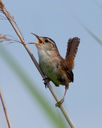 IMG_0187-Edit.jpg